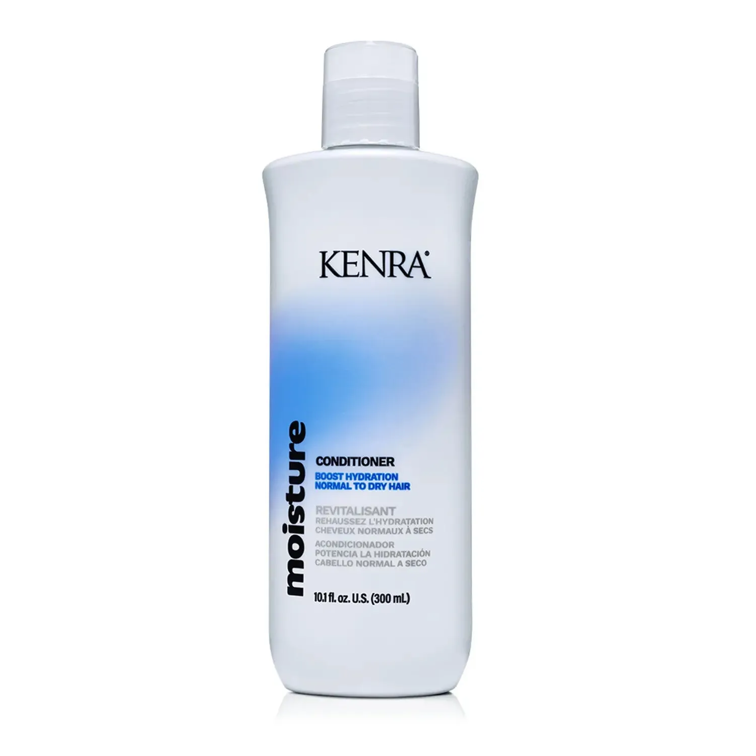 Kenra Moisture Conditioner Boost Hydration Normal To Dry Hair 10.1 Ounce 300 Milliliters | SellerSpree