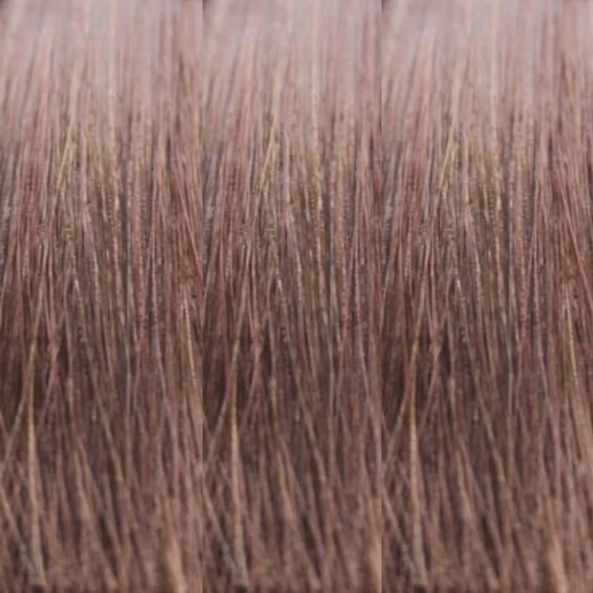 Keune Tinta Color 6.53 Dark Chestnut Blonde Permanent Hair Color Silk Protein UV Protection 2.1 Ounce 60 Milliliters | SellerSpree