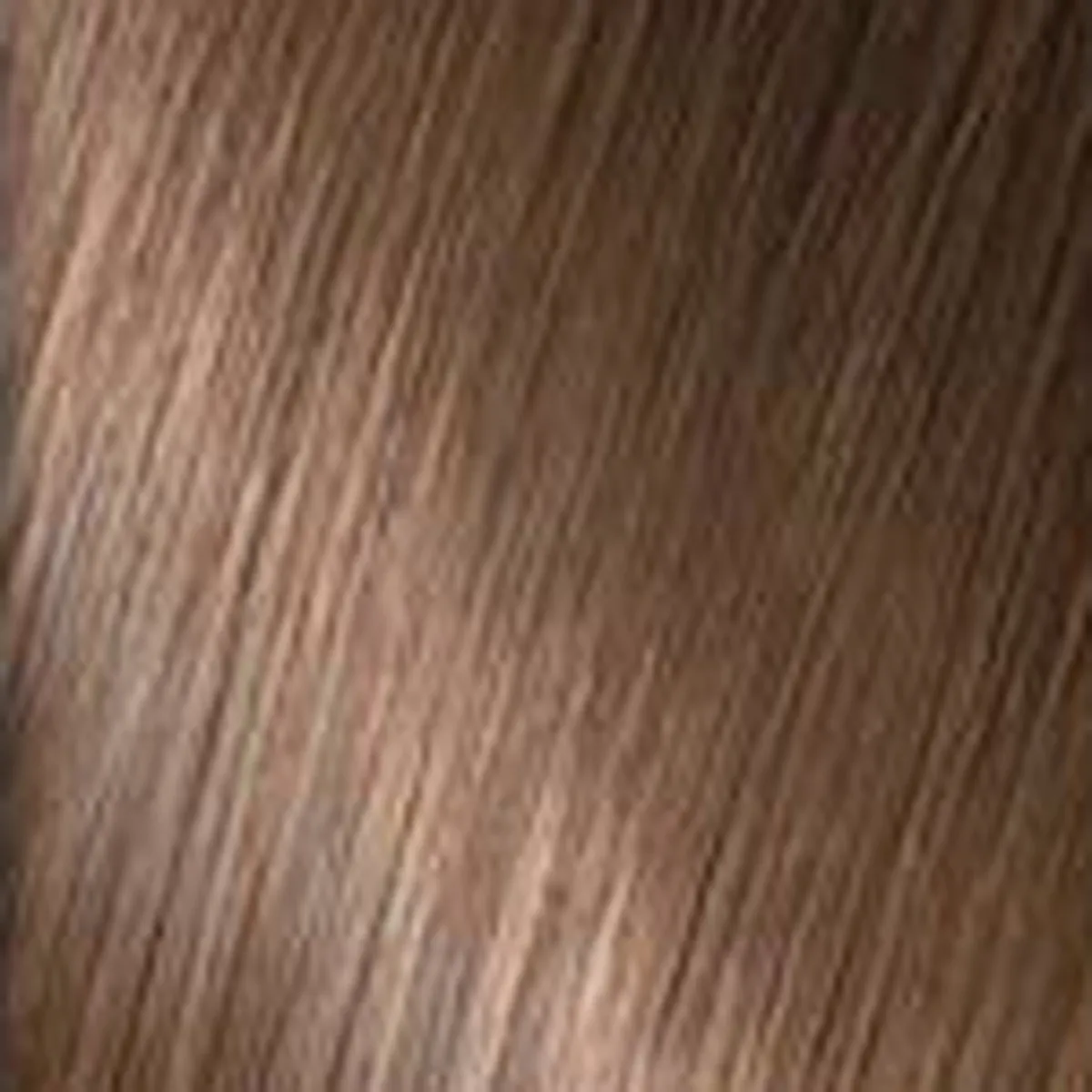 Loreal Professionnel Paris Hair Touch Up Warm Brown Root Concealer Spray 2 Ounce 57 Gram | SellerSpree