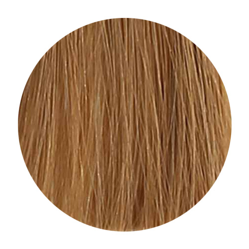 Loreal Professionnel Paris Inoa Supreme #8.31 Light Blonde Gold Ash Permanent Hair Color No Ammonia Original-8.31/8GB 2.1 Ounce 60 Gram | SellerSpree