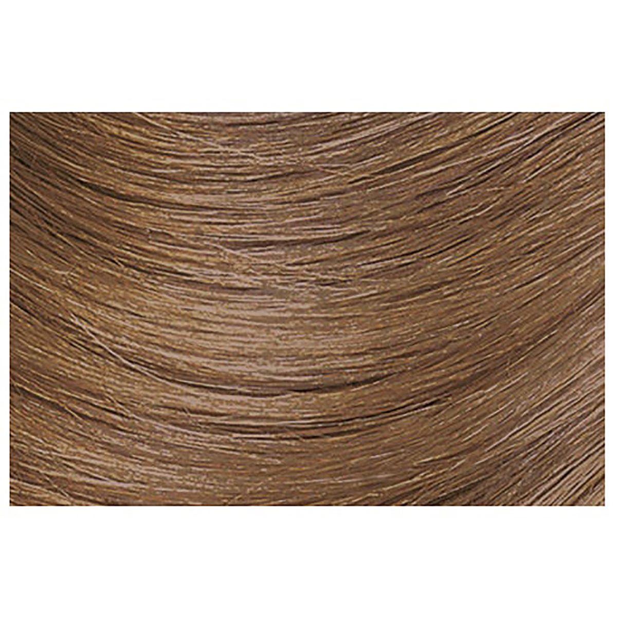 Matrix Color Insider 8A/8.1 Light Blonde Ash Permanent Color 2 Ounce 67 Milliliters | SellerSpree