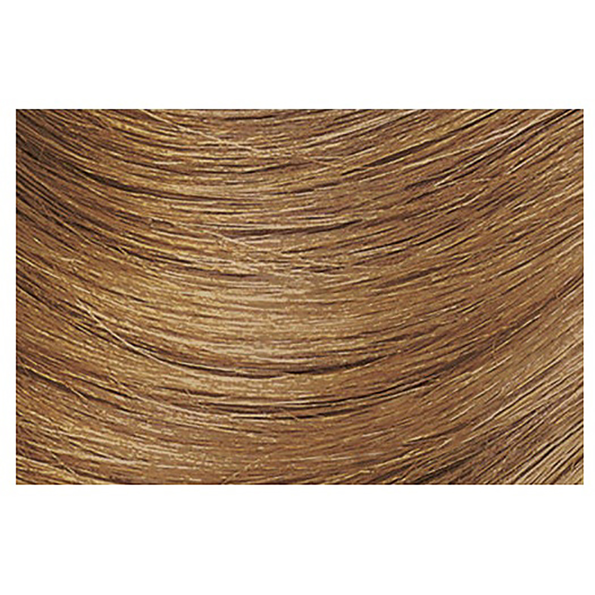 Matrix Color Insider 8N/8.0 Medium Blonde Neutral Permanent Hair Color 2 Ounce 67 Milliliters | SellerSpree