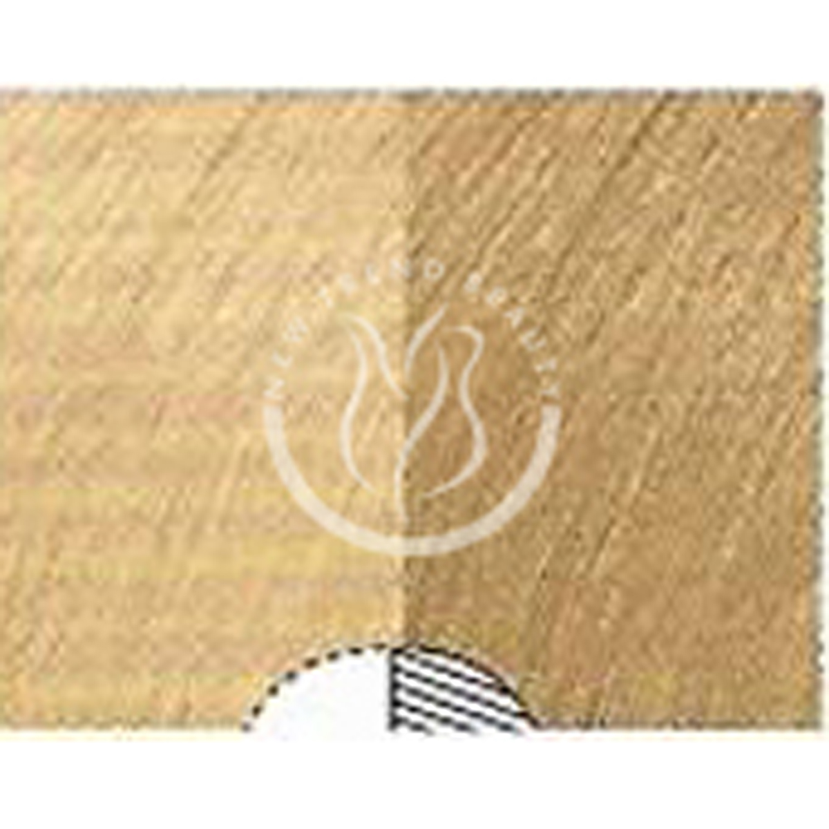 Matrix Color Sync 10WN Extra Light Blonde Warm Neutral Demi-Permanent Hair Color 2 Ounce 60 Milliliters | SellerSpree