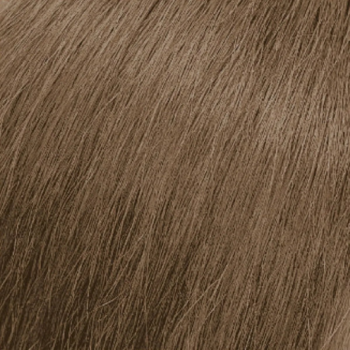 Matrix SoColor Pre-Bonded 6N/6.0 Dark Blonde Neutral Permanent Hair Color 3.1 Ounce 90 Milliliters | SellerSpree