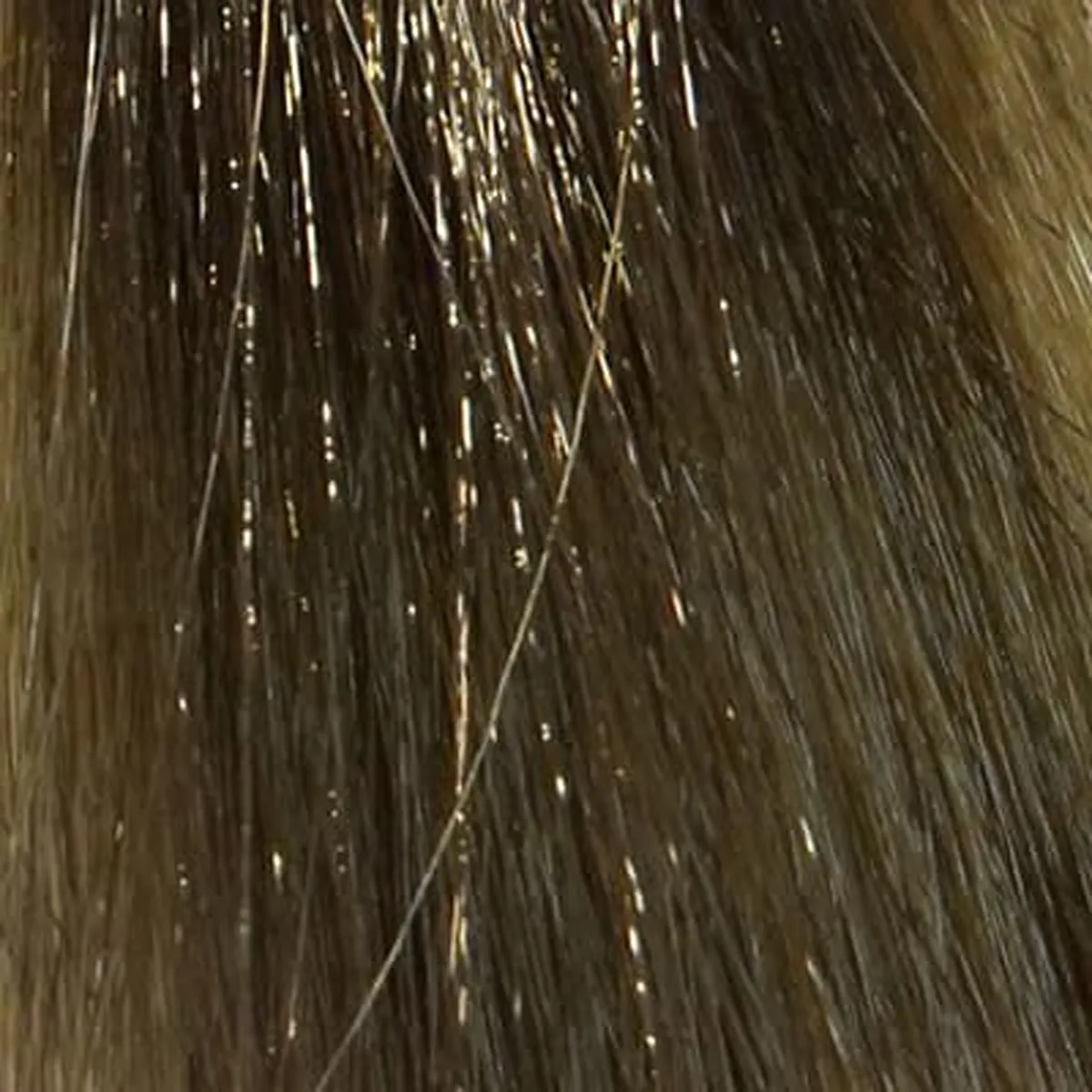 Matrix Socolor Beauty 6AG Dark Blonde Ash Gold Permanent Hair Color 3.1 Ounce 90 Milliliters | SellerSpree