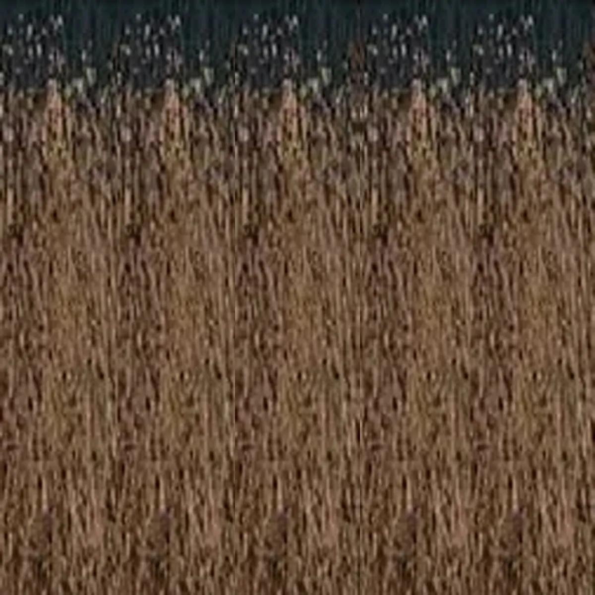 Milk Shake 9 Minutes 4.0/4NN Intense Medium Brown No SLS/SLES Quick Conditioning Permanent Hair Color 3.4 Ounce 100 Milliliters | SellerSpree