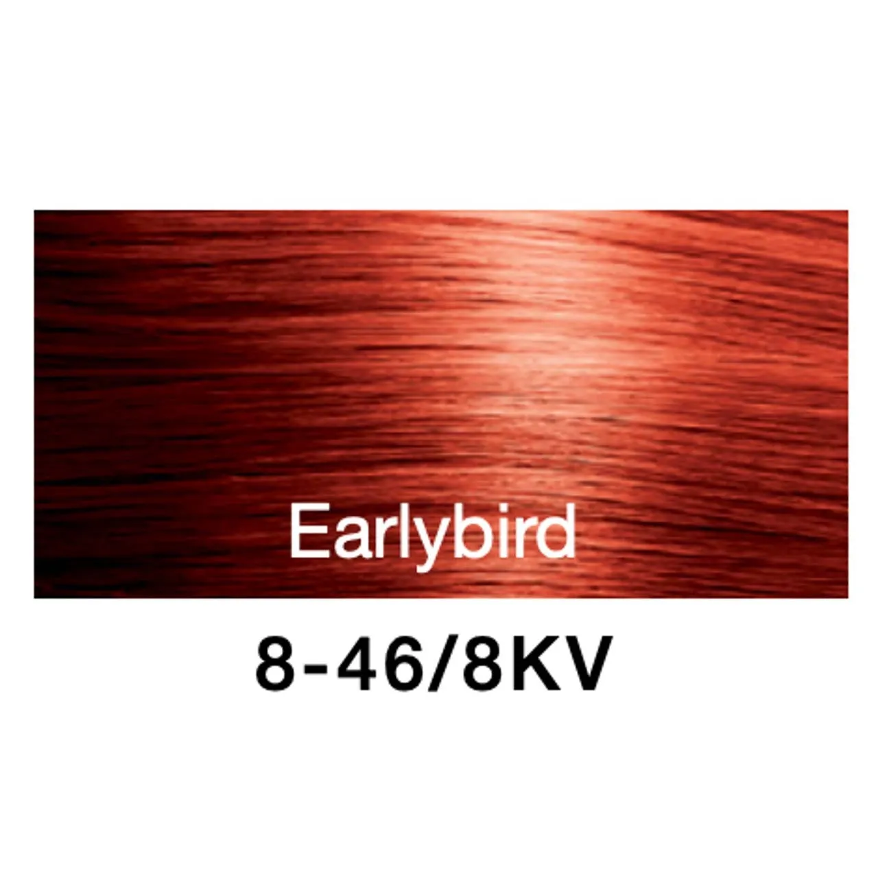 IONSEOUL llica sun dyeing mtm 裏起毛 BBP5029 Boy Sunglasses - Injected Plastic (CP) - SK679_C2 - Ikaly