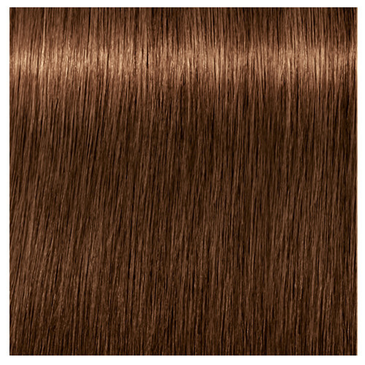 Schwarzkopf Igora Royal Nude 6-46 Dark Blonde Beige Chocolate Permanent Color Creme 2.1 Ounce 60 Milliliters | SellerSpree