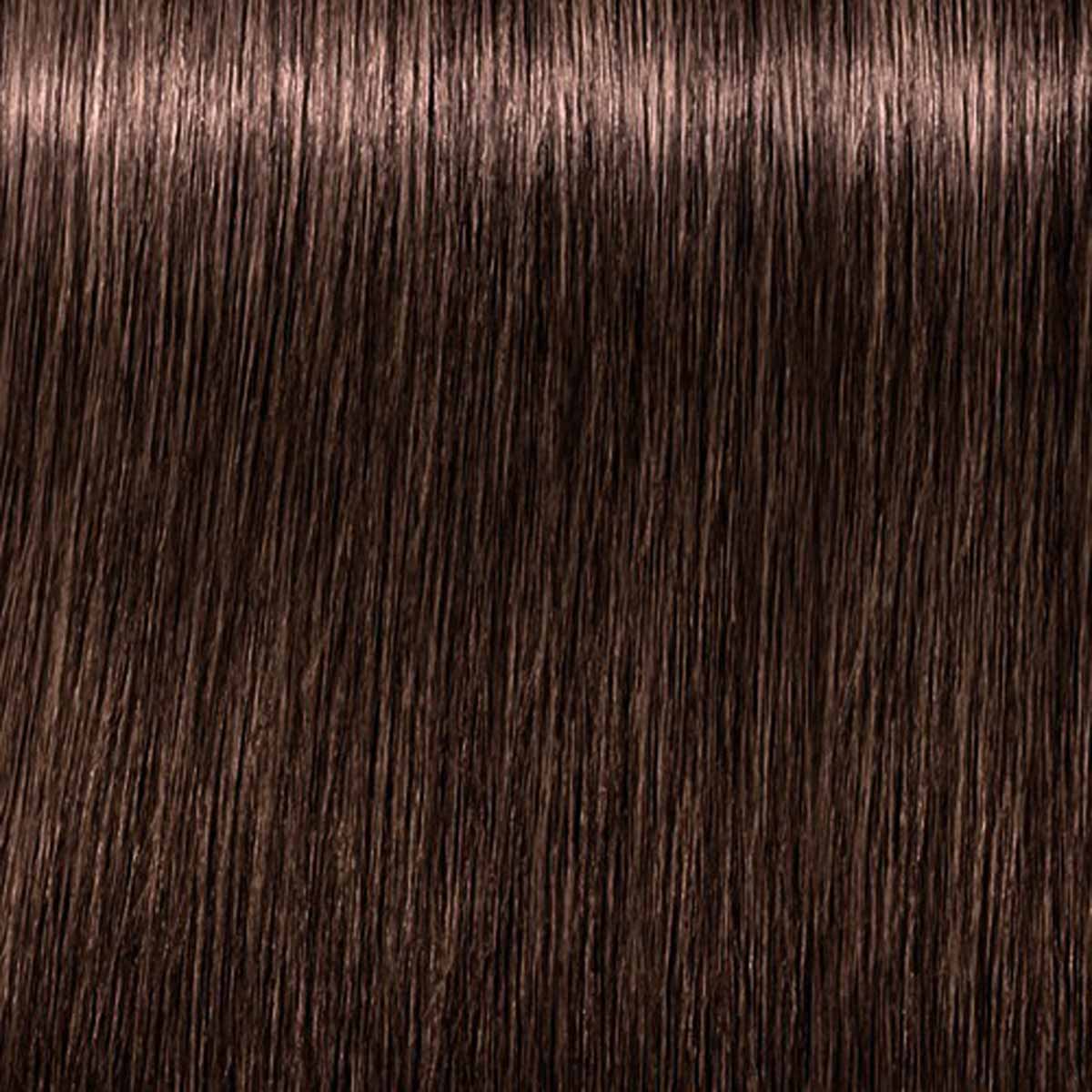 Schwarzkopf Igora Zero Amm 6-6 Dark Blonde Chocolate Permanent Color Creme No Ammonia 2 Ounce 60 Milliliters | SellerSpree
