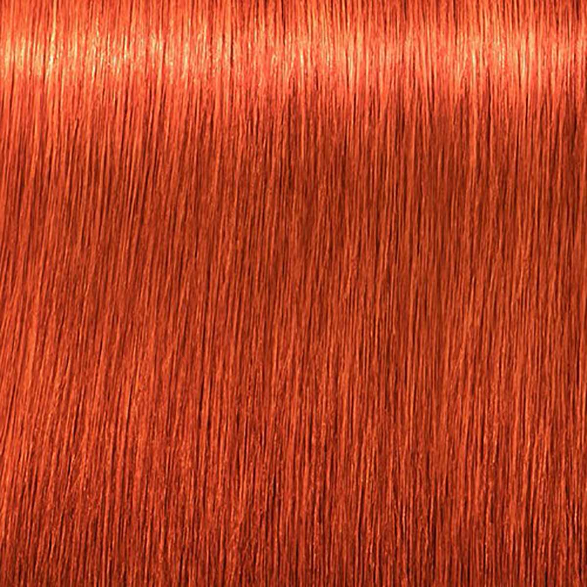 Schwarzkopf Igora Royal 8-77 Light Blonde Copper Extra Permanent Creme Hair Color 2.1 Ounce 60 Milliliters | SellerSpree