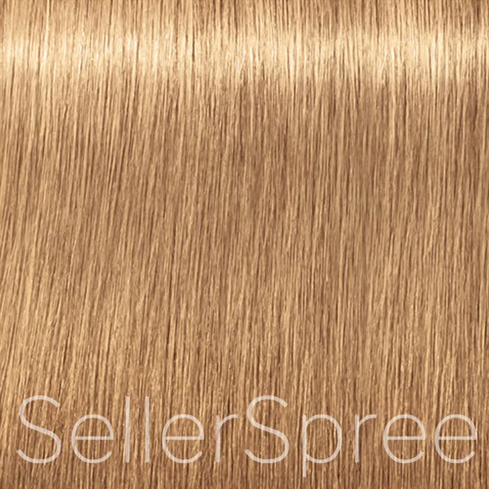 Schwarzkopf Igora Royal Absolutes 9-560 Extra Light Blonde Gold Chocolate Natural Permanent Color Creme 2.1 Ounce 60 Milliliters | SellerSpree