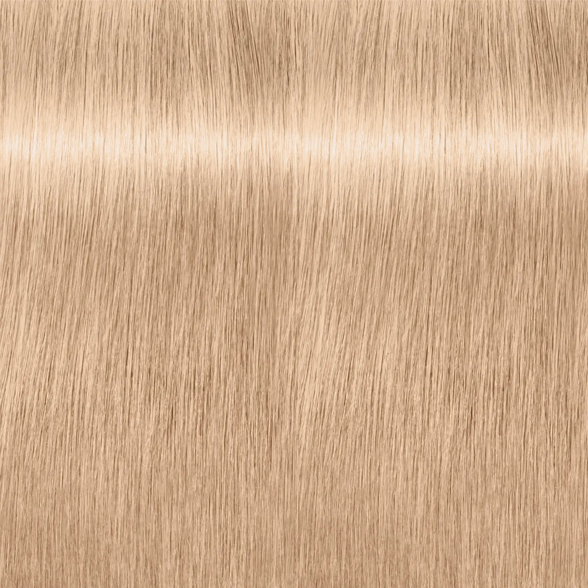 Schwarzkopf Igora Royal Highlifts 10-19 Ultra Blonde Cendre Violet Permanent Color Creme 2.1 Ounce 60 Gram | SellerSpree