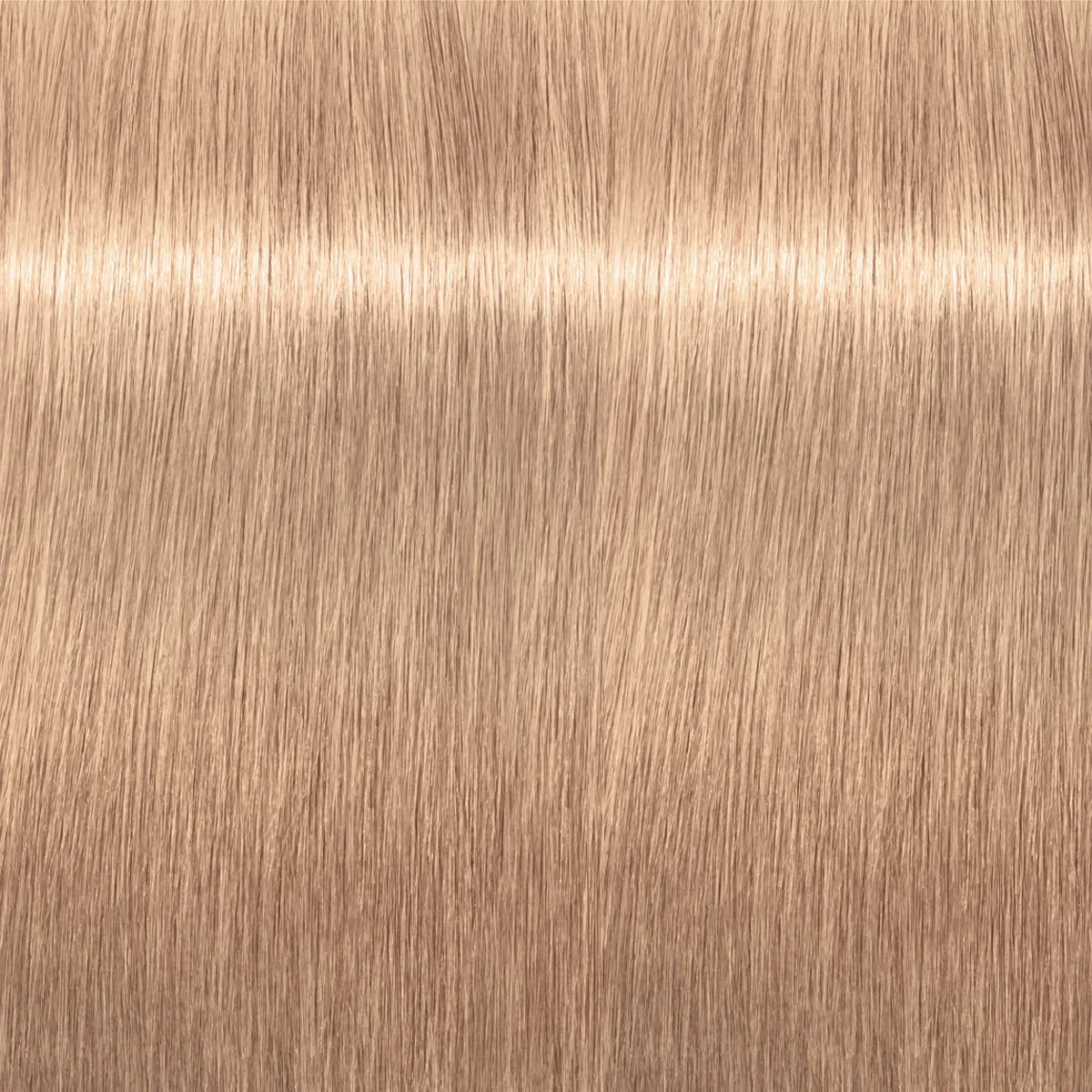 Schwarzkopf Igora Royal Highlifts 12-49 Special Blonde Beige Violet Permanent Cream Hair Color 2.1 Ounce 60 Gram | SellerSpree