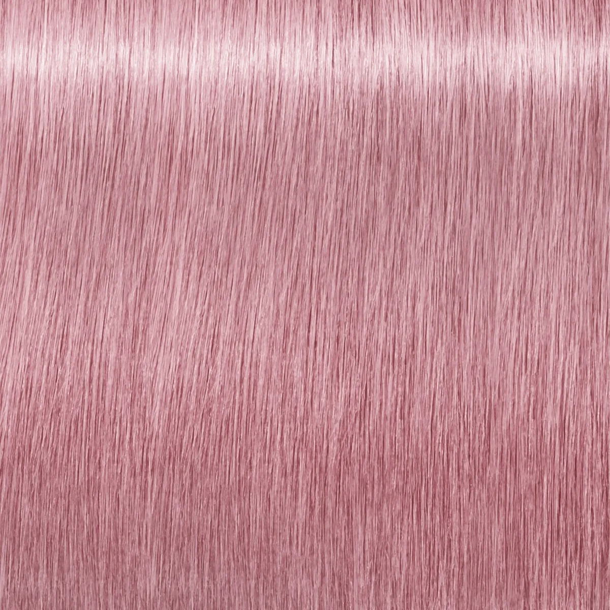 Schwarzkopf Igora Vibrance 10-19 Cendre Violet Soft Toner Tone On Tone Coloration Hair Color 2.02 Ounce 60 Gram | SellerSpree