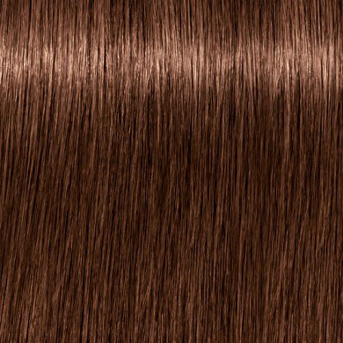 Schwarzkopf Igora Vibrance 6-68 Dark Blonde Chocolate Red Tone On Tone Coloration 2.02 Ounce 60 Gram | SellerSpree