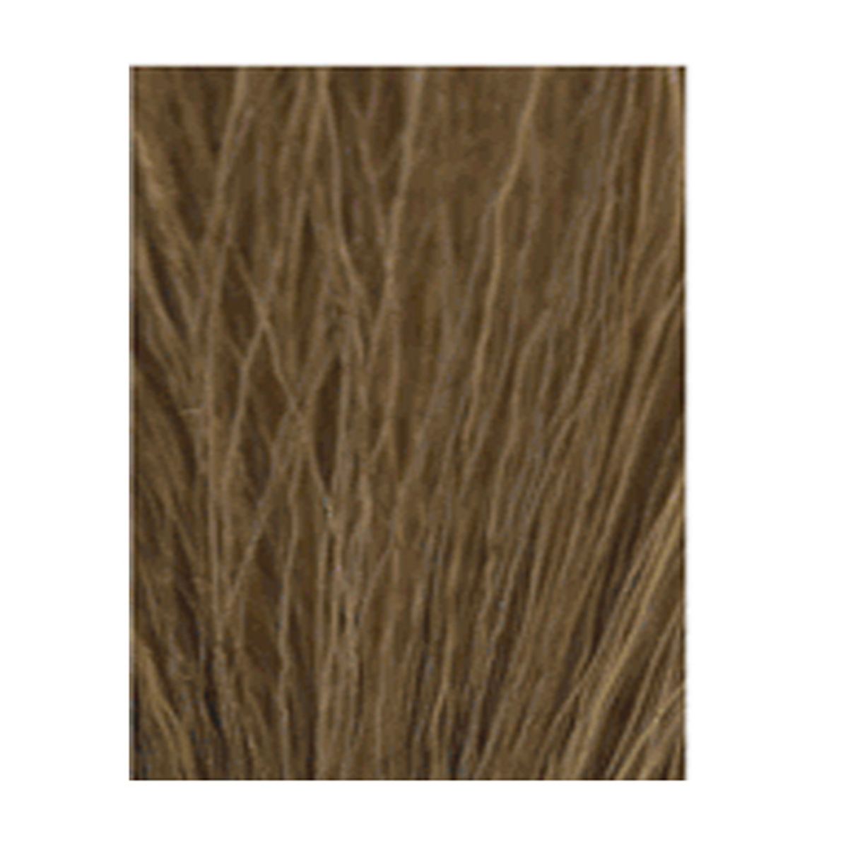 Redken Shades EQ Gloss 06G St. Tropez Conditioning Equalizing Conditioning Color 2 Ounce 60 Milliliters | SellerSpree