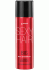 Sexy Hair Big Volumizing Dry Shampoo 3.4oz | SellerSpree