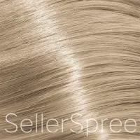 10.13 Lightest Violet Ash Blonde