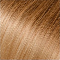 Babe Tape-in Extensions 22in Gabby #ombre 12-600 10 Wefts 100% Human Remy Hair | SellerSpree