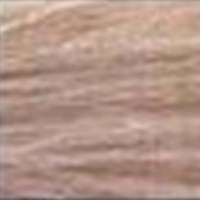 Farouk Chi Ionic Permanent Shine Color 8b Medium Beige Blonde 3oz | SellerSpree