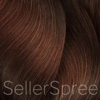 Goldwell Topchic 6b Brazil Permanent Hair Color 2.1oz 60g | SellerSpree