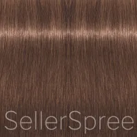 Goldwell Topchic 6n Dark Blonde Permanent Hair Color 2.1oz 60g | SellerSpree