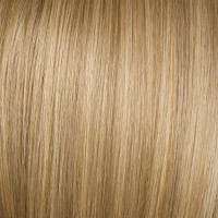 Hairdo Top Of Head R14/88h Golden Wheat Long Clip Hairpiece 12in Long | SellerSpree