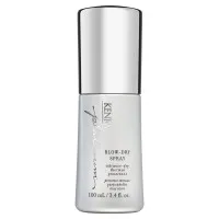 Kenra Platinum Blow-Dry Spray Advance-Dry Thermal Protectant 3.4 Ounce 100 Milliliters| SellerSpree