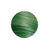 Keratin Complex Graffitiglam Keratin-enhanced Intense Direct Pigments Tropical Green 3.4oz 100ml | SellerSpree