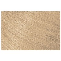 Logics Color Dna System 10n Lightest Blonde Neutral Permanent Gelucent Color Creme 2oz 60ml | SellerSpree