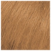 Matrix SoColor Pre-Bonded 8W Medium Blonde Warm Permanent Cream Hair Color 3 Ounce | SellerSpree