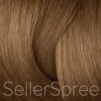 Redken Shades Eq Gloss 06n Moroccan Sand Equalizing Conditioning Color 2oz 60ml | SellerSpree