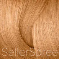 Redken Shades EQ Gloss 09NB Irish Creme Equalizing Conditioning Color 2 Ounce 60 Milliliters | SellerSpree