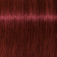 Schwarzkopf Igora Zero Amm 5-88 Light Brown Red Extra Permanent Color Creme No Ammonia 2 Ounce 60 Milliliters | SellerSpree