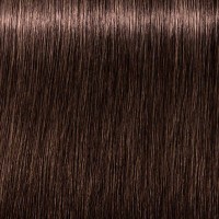 Schwarzkopf Igora Zero Amm 6-6 Dark Blonde Chocolate Permanent Color Creme No Ammonia 2 Ounce 60 Milliliters | SellerSpree