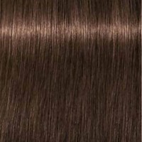 Schwarzkopf Igora Royal Senea 6-5 Dark Golden Blonde High Scalp Comfort Permanent Color Creme 2oz 60ml | SellerSpree
