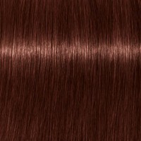 Schwarzkopf Tbh 6-84 Warm Dark Blonde Red Beige Permanent Color Creme True Beautiful Honest 2.1oz 60g | SellerSpree