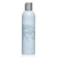Abba Moisture Conditioner 8oz | SellerSpree