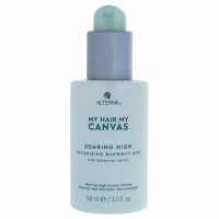 Alterna My Canvas Soaring High Volumizing Blowout Mist 5oz | SellerSpree